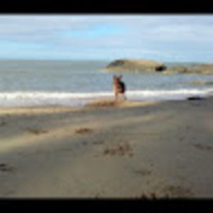 Meet your Posher, Jodie